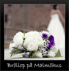 Bröllop Malmöhus